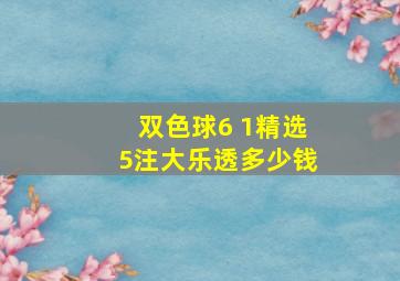 双色球6 1精选5注大乐透多少钱